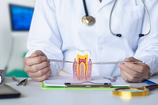 Best Emergency Denture Repair in Richmond, IN